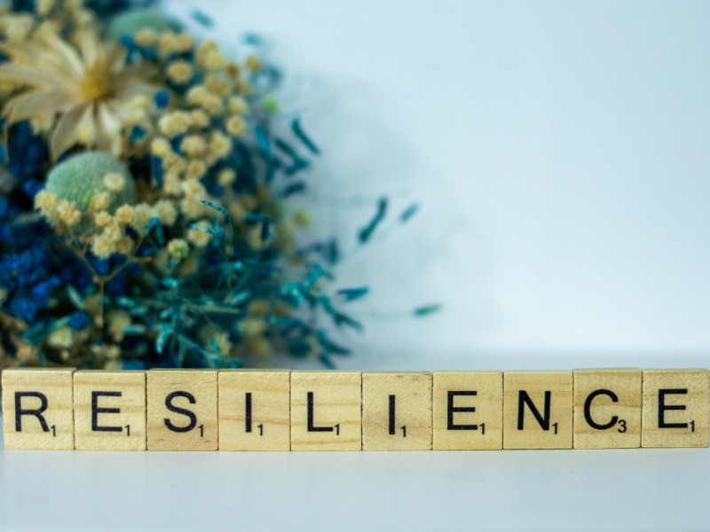 Turning risk triggers into organisational resilience
