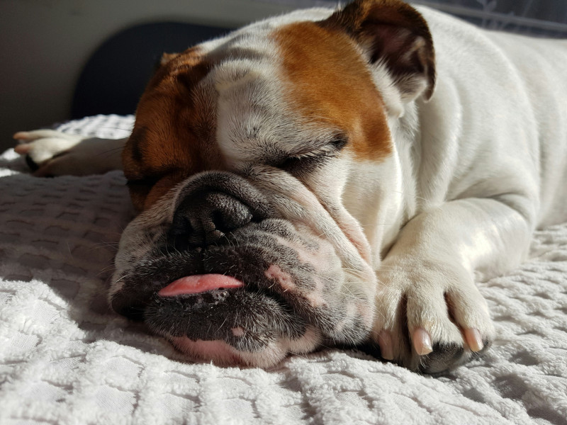 Sleeping Well to Work Safely: An Introduction