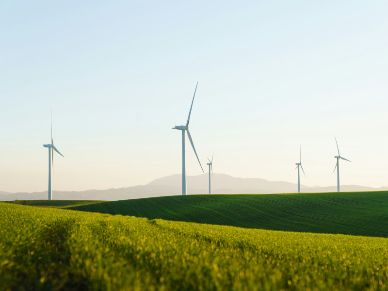 Leadership for Sustainability: Practical Strategies for Risk and Safety Management (Webinar Recording)